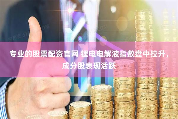 专业的股票配资官网 锂电电解液指数盘中拉升，成分股表现活跃